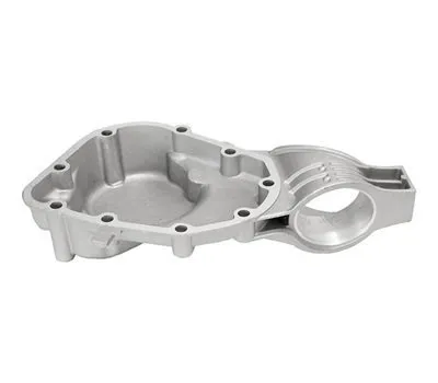 002301211F KAPAK,ŞANZIMAN ARKA (YM)