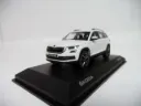 565099300 S9R KODİAQ MODEL ARABA