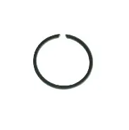 N  10661601 SEGMAN