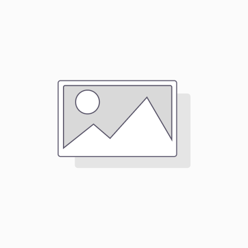 LP3644 DELPHI ÖN FREN BALATA
